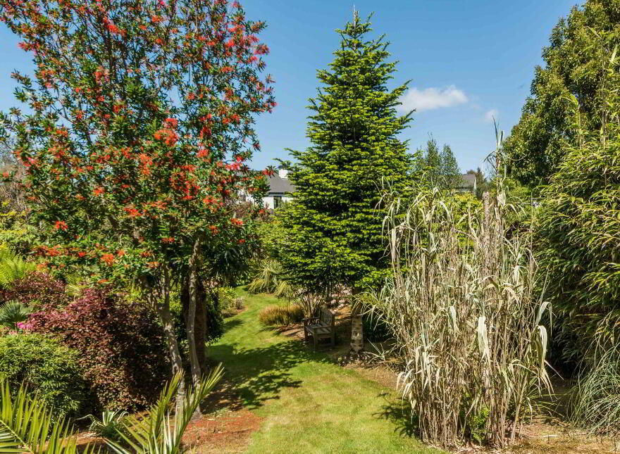 Coosheen, Schull, Ballydehob, P81X702