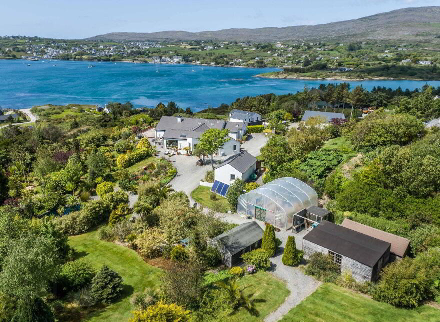 Coosheen, Schull, Ballydehob, P81X702