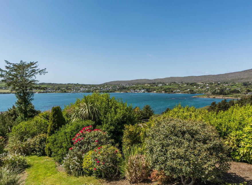 Coosheen, Schull, Ballydehob, P81X702