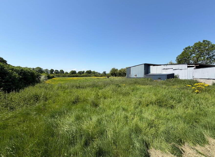 Bungalow +, Outbuildings On 1 ¾ Acres, Deerpark, Portarlington, R32N2C7