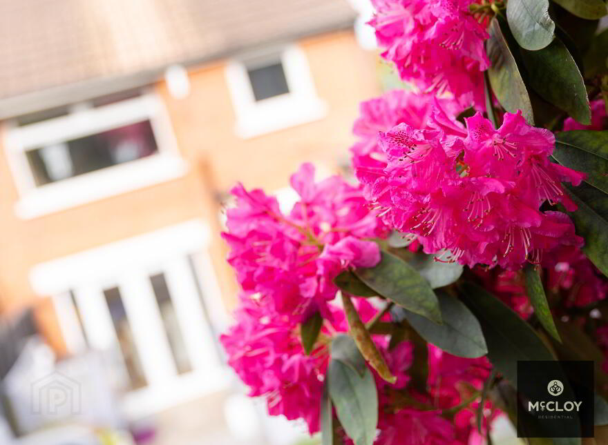 61 Ballygowan Road, Belfast, BT5 7JL
