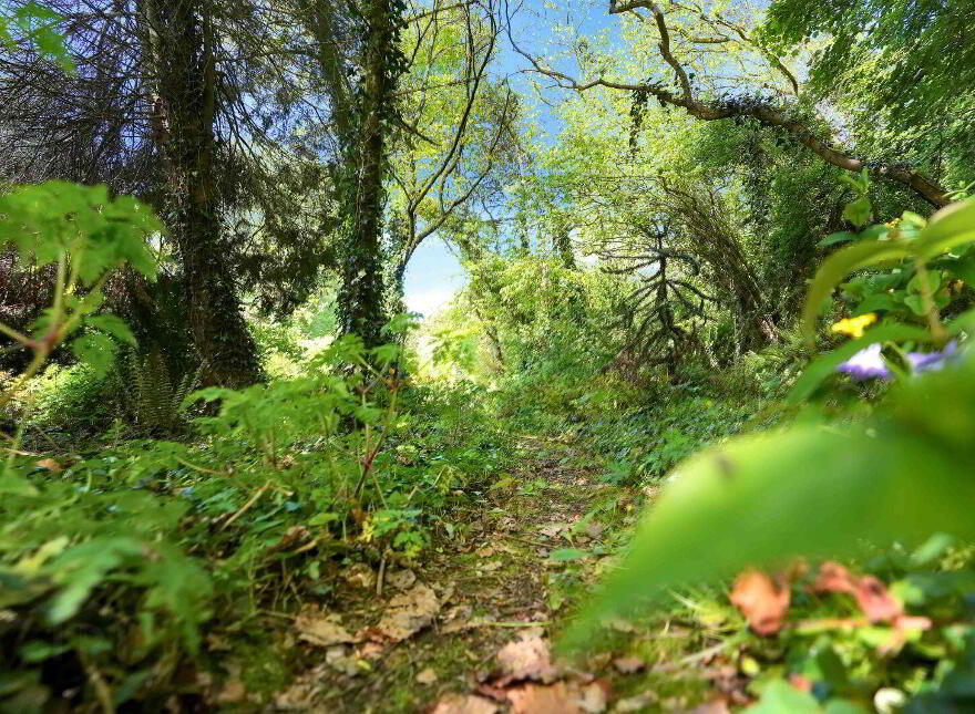 Aughamore, Kilmainhamwood, A82PE00