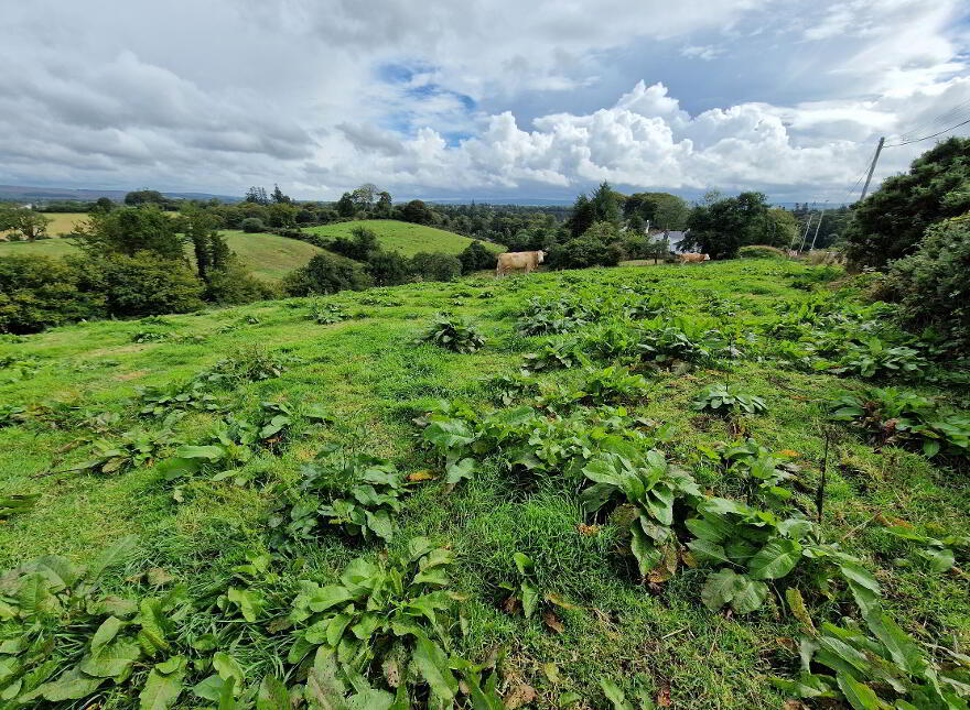 8 OPP For Dwellings, 28 Edenmore Lane, Tempo, BT94 3AU