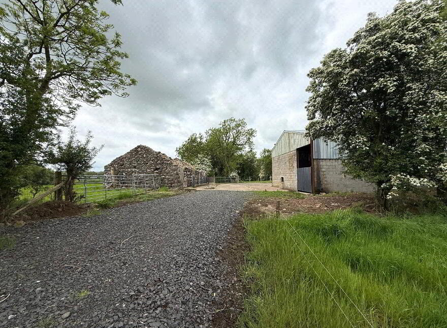 10 Acre Small Holding With FPP Site, Whitesides Road, Ballymena, BT41 3DY