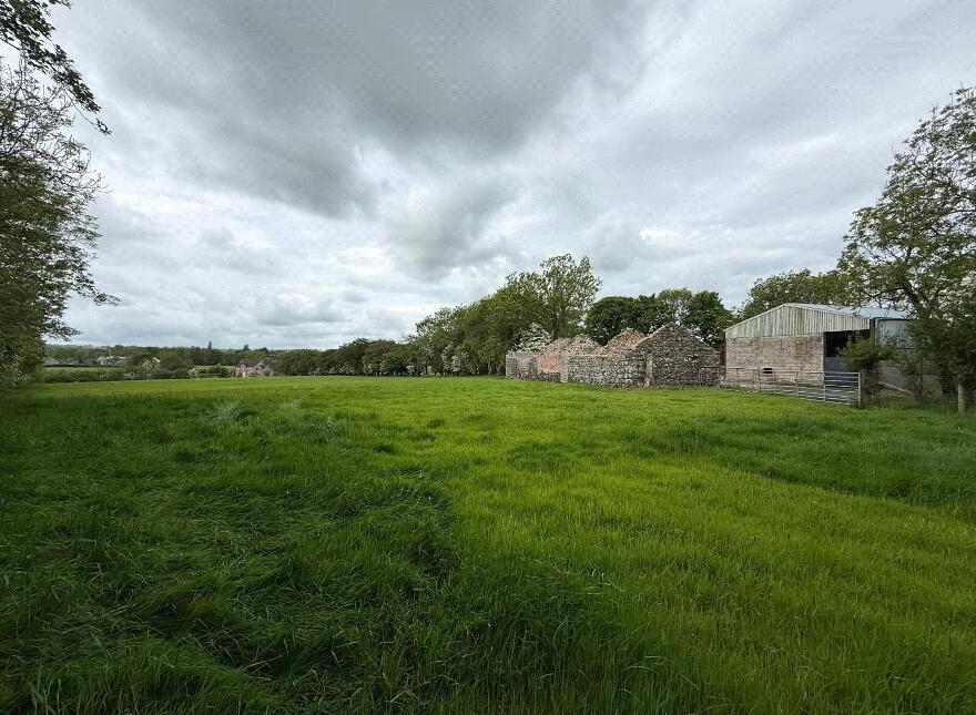 10 Acre Small Holding With FPP Site, Whitesides Road, Ballymena, BT41 3DY