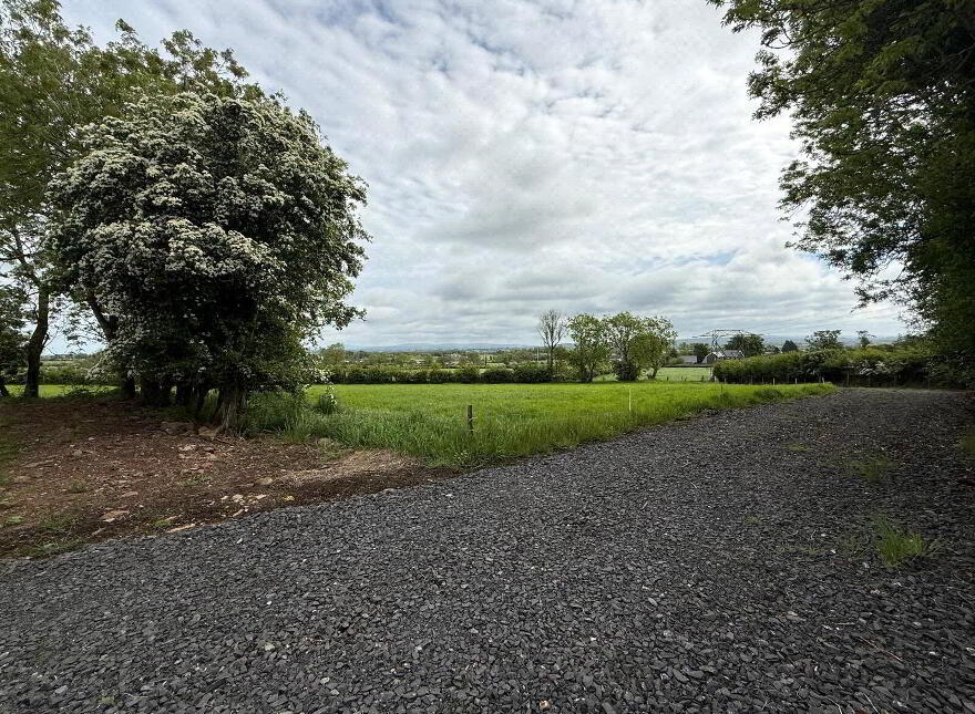 10 Acre Small Holding With FPP Site, Whitesides Road, Ballymena, BT41 3DY
