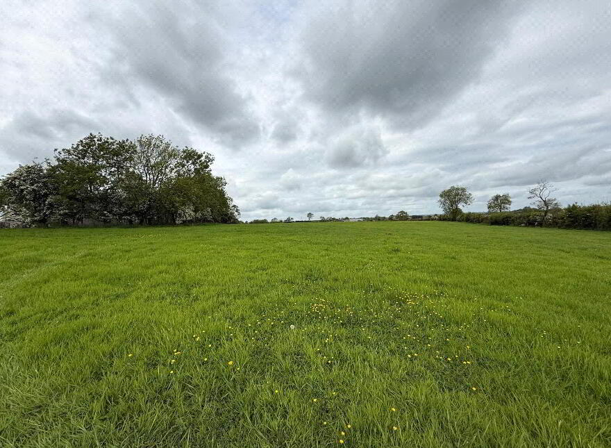 10 Acre Small Holding With FPP Site, Whitesides Road, Ballymena, BT41 3DY