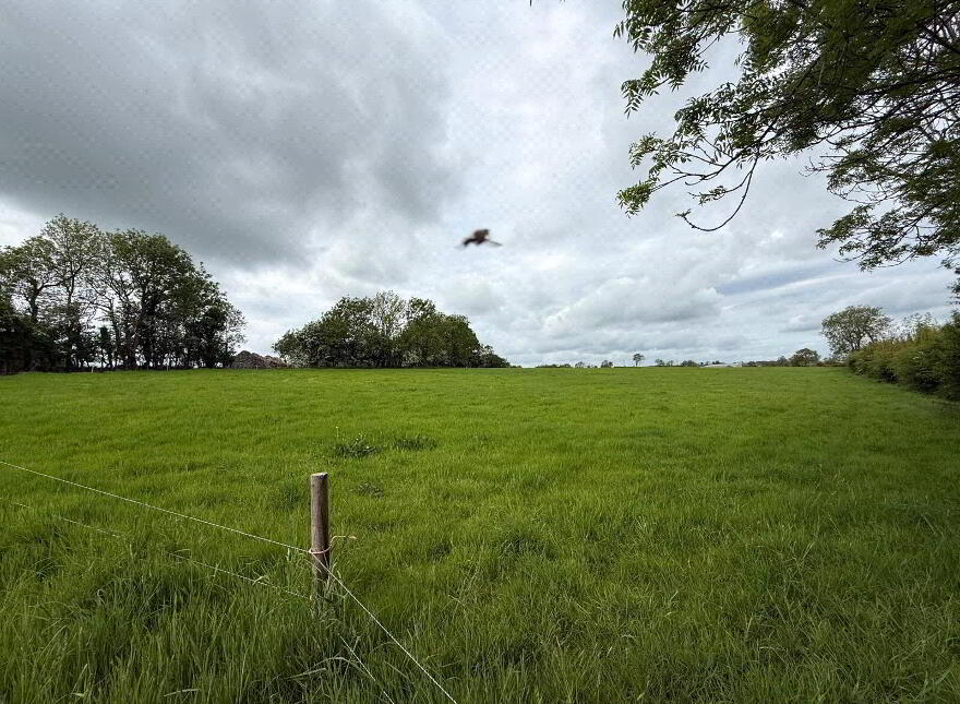 10 Acre Small Holding With FPP Site, Whitesides Road, Ballymena, BT41 3DY