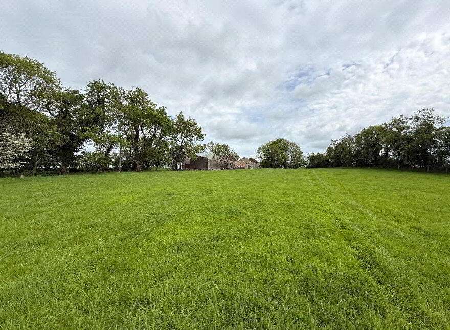 10 Acre Small Holding With FPP Site, Whitesides Road, Ballymena, BT41 3DY