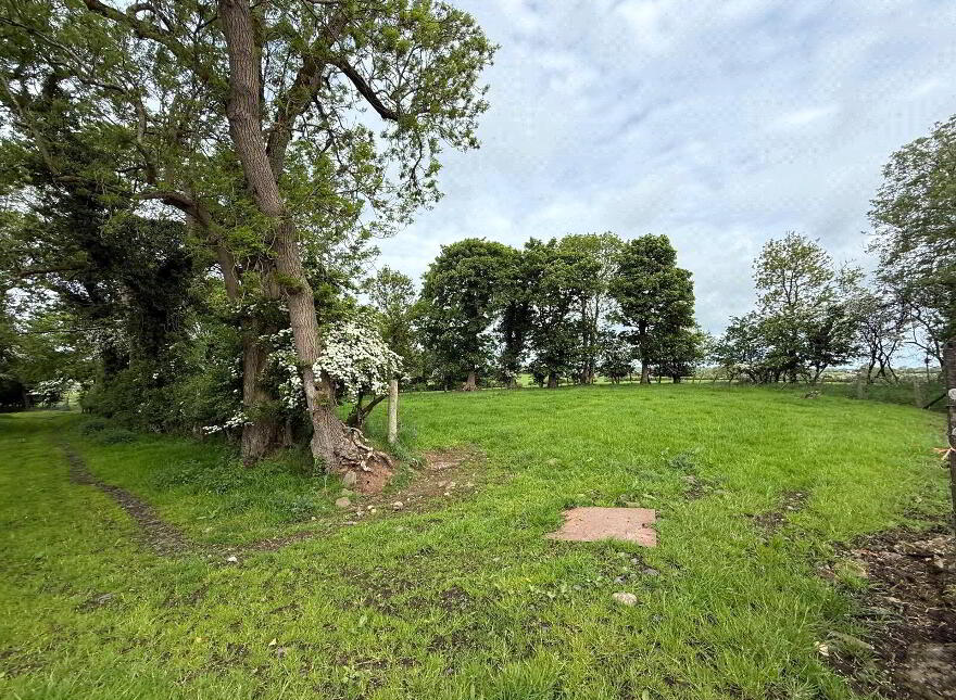 10 Acre Small Holding With FPP Site, Whitesides Road, Ballymena, BT41 3DY