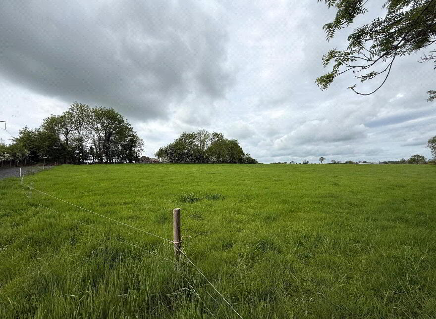 10 Acre Small Holding With FPP Site, Whitesides Road, Ballymena, BT41 3DY
