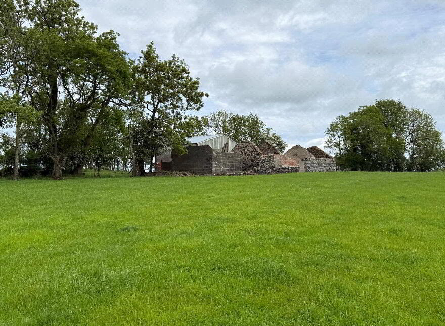 10 Acre Small Holding With FPP Site, Whitesides Road, Ballymena, BT41 3DY