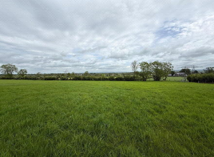 10 Acre Small Holding With FPP Site, Whitesides Road, Ballymena, BT41 3DY