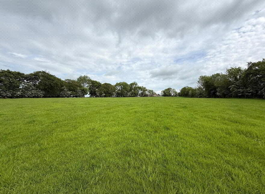 10 Acre Small Holding With FPP Site, Whitesides Road, Ballymena, BT41 3DY
