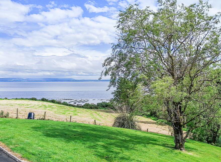 Three Trees, Quigley's Point, F93W863