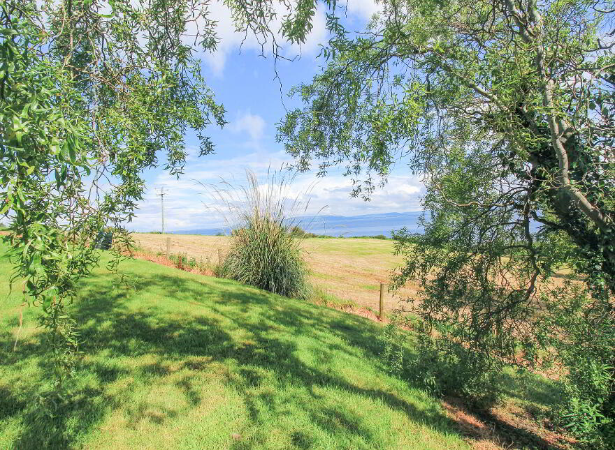 Three Trees, Quigley's Point, F93W863
