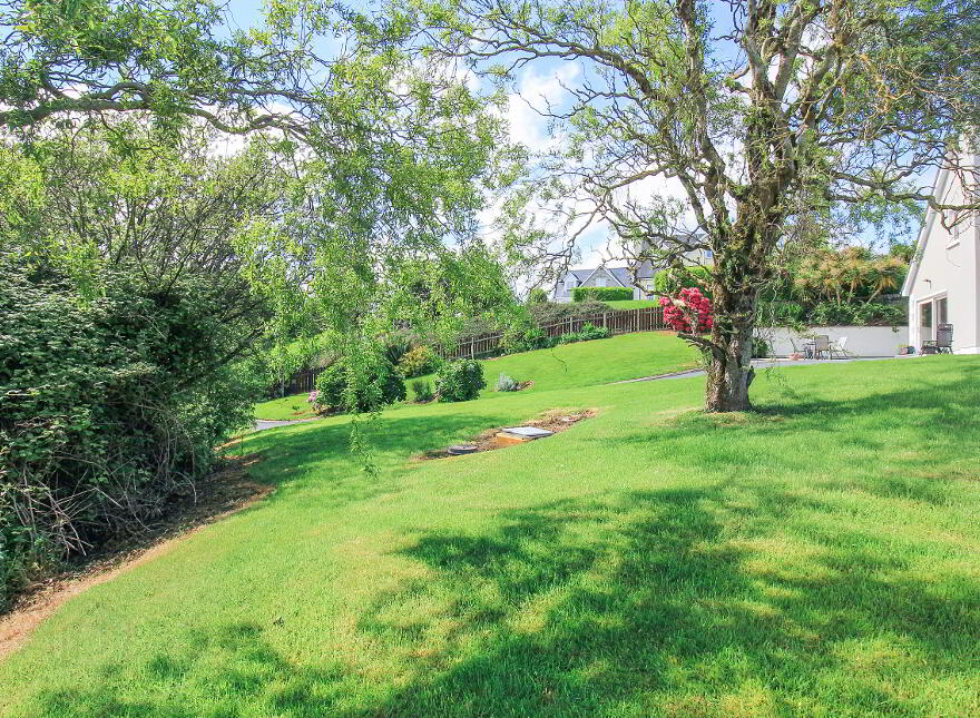 Three Trees, Quigley's Point, F93W863
