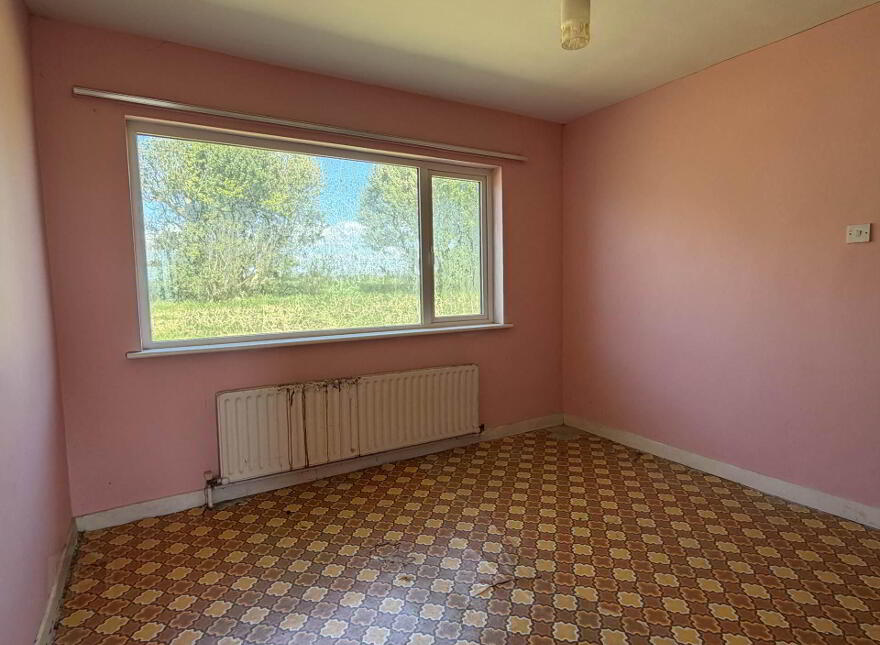 Gahanive, Rosscarbery, Castlefreke, P85V309