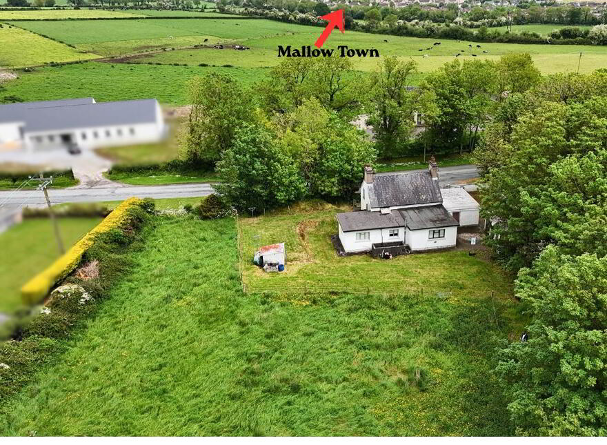 Ironmines, Mallow, P51KXF3