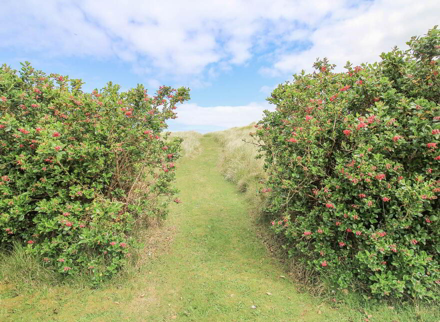 Tullagh, Crossconnell, Clonmany, F93V9X4