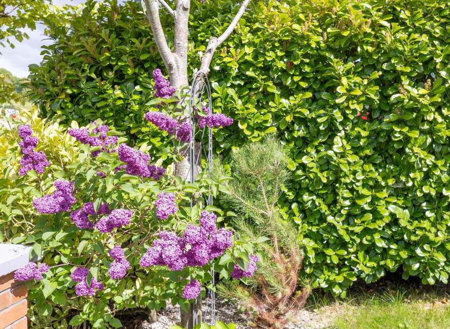 24 Willow Park Drive, The Gallops, Cavan Town, H12PY28