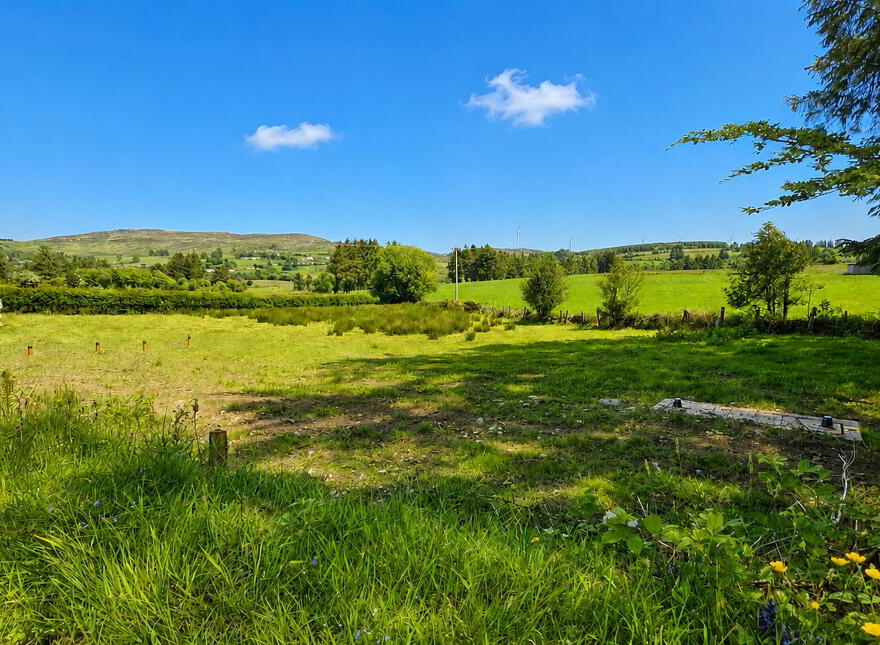 Carraig Na Damhaire, Ballingeary, Macroom, P12K023