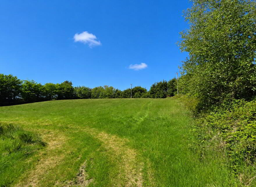 Carraig Na Damhaire, Ballingeary, Macroom, P12K023