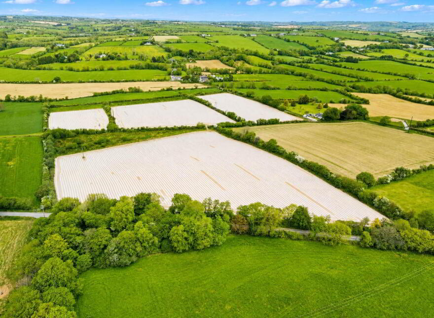 C. 33 Acre Agricultural Holding, Mishells, Bandon, P000000