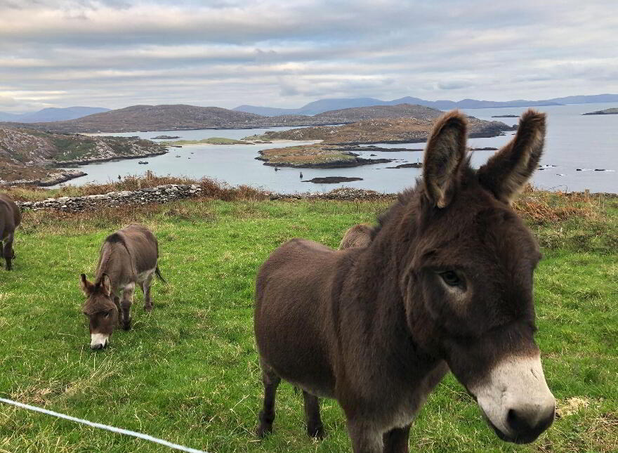 Bunavalla, Derrynane, Derrynane, V23H597