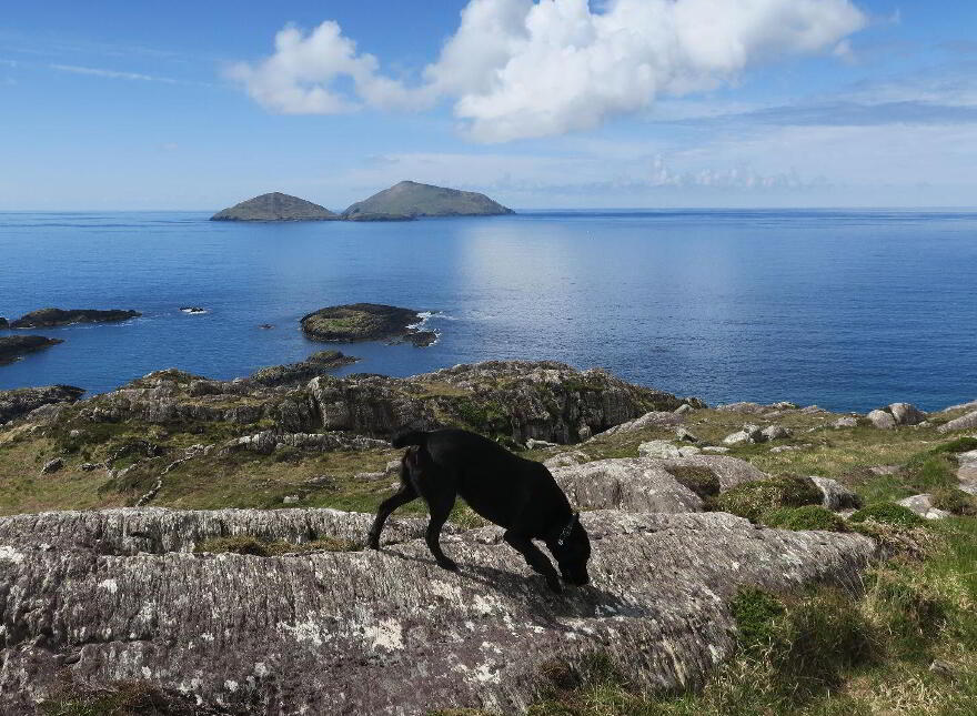 Bunavalla, Derrynane, Derrynane, V23H597