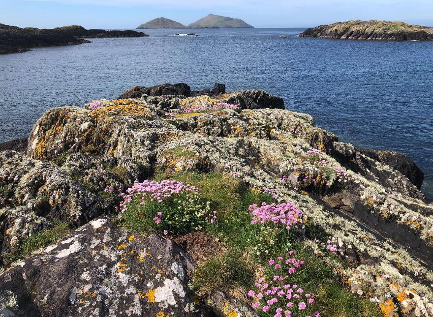 Bunavalla, Derrynane, Derrynane, V23H597