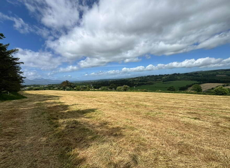 Agricultural Land, Knockaninane West, Kilcummin, Killarney
