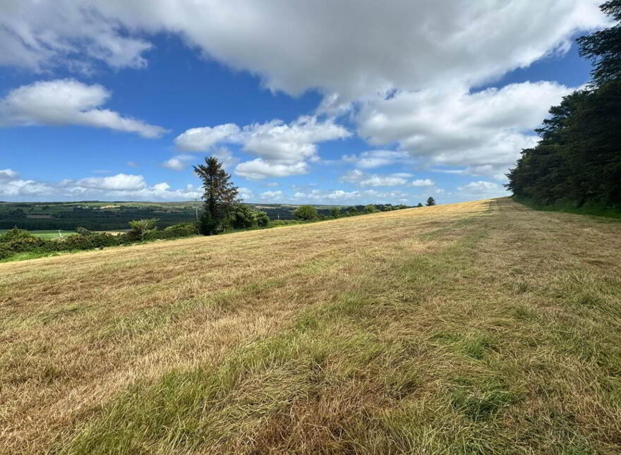 Agricultural Land, Knockaninane West, Kilcummin, Killarney