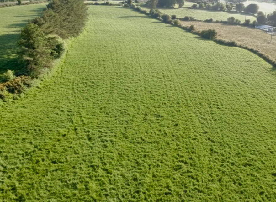Agricultural Land, Knockaninane West, Kilcummin, Killarney