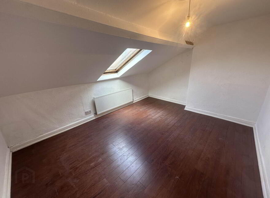 16 Nansen Street, Falls Road, Belfast, BT12 6AT