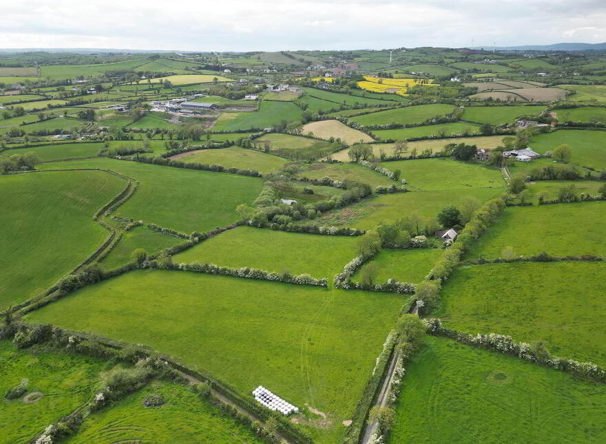 C. 8.79 Acres Agricultural Lands & Potential Building Site, 8 Bally...Saintfield, BT24 7HW