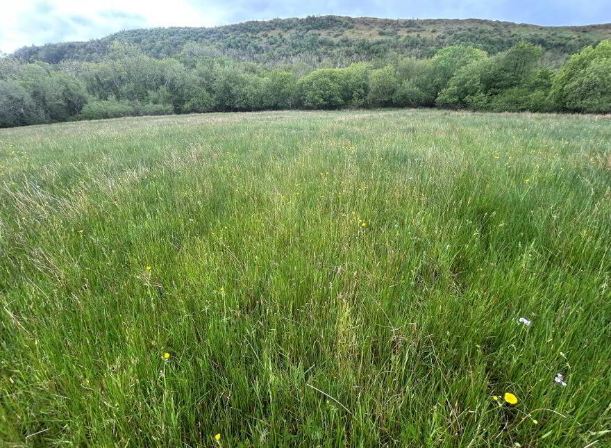 (Lot 2) 418 Lough Shore Road, Belleek, BT93 3BP