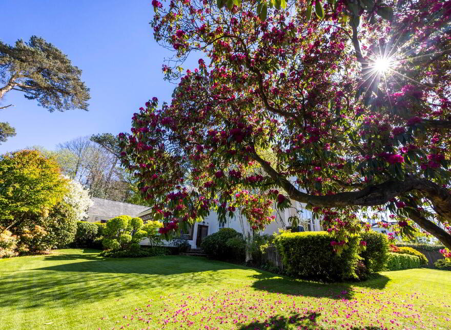 Slinden House, 21 Station Road, Holywood, BT18 0BP