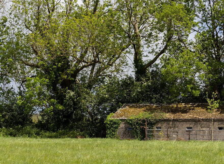 Kilbree, Cappoquin, Lismore, P51H5P3
