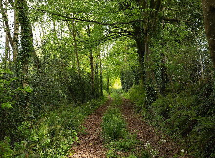 Kilbree, Cappoquin, Lismore, P51H5P3