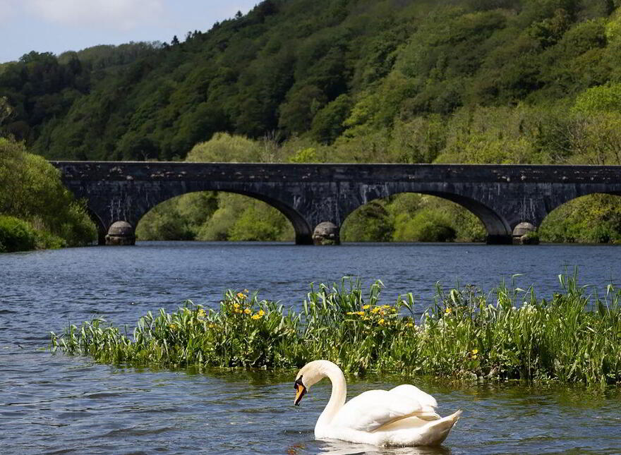 Kilbree, Cappoquin, Lismore, P51H5P3