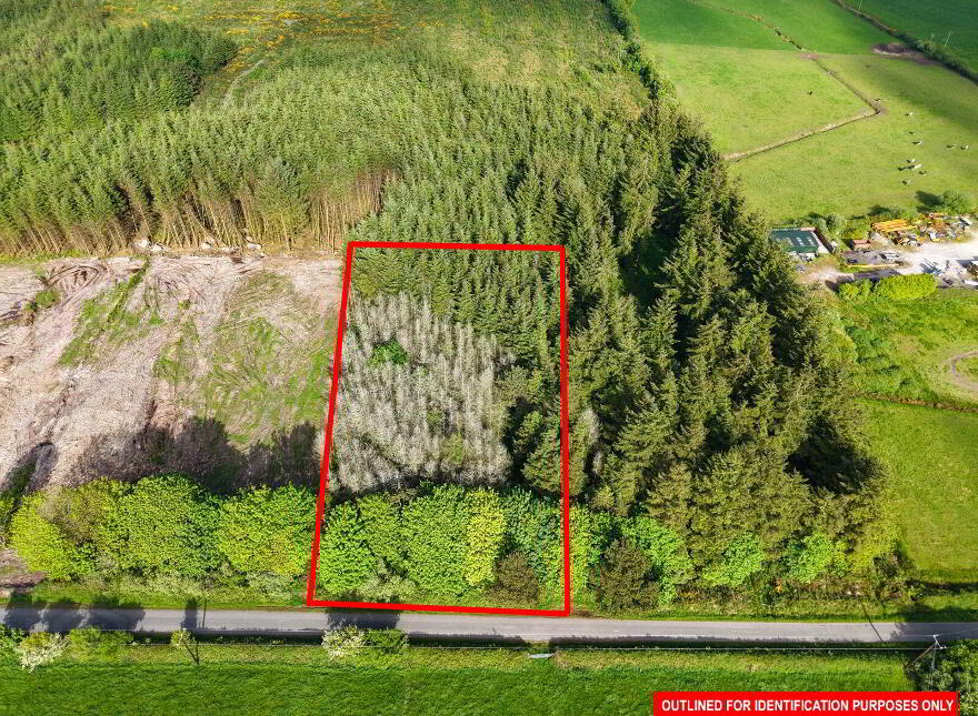 Ballinphellic, Innishannon