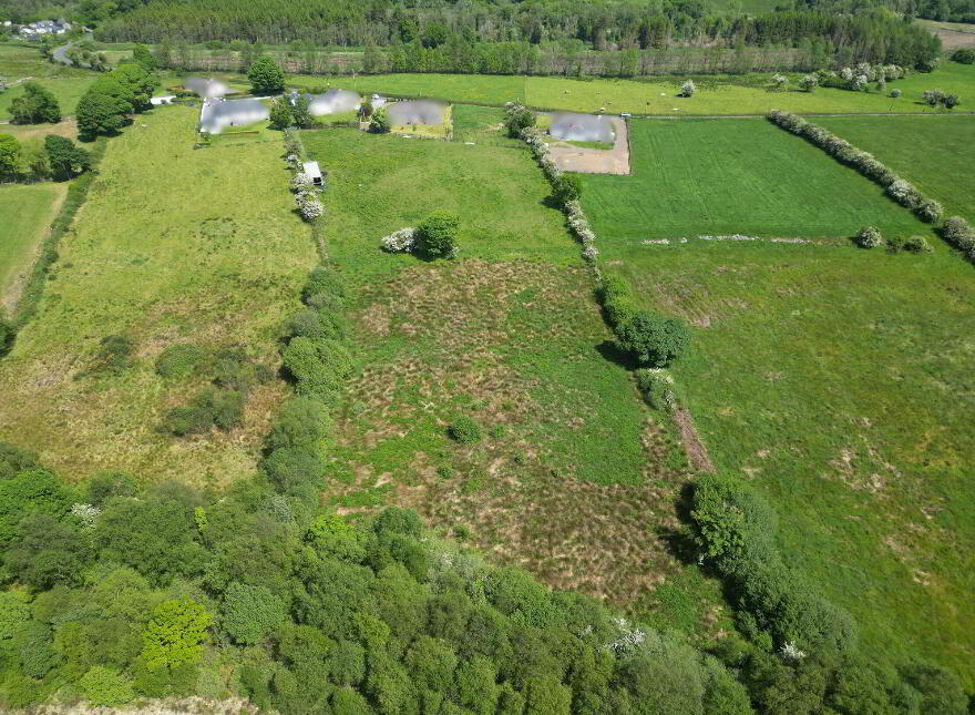Arm Cashel, Castlerea