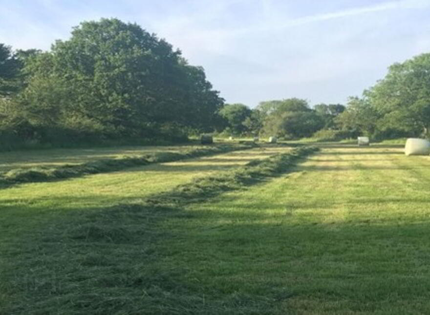First Cut Of Silage, Fintona /Omagh Area, Omagh, BT78 2NQ photo
