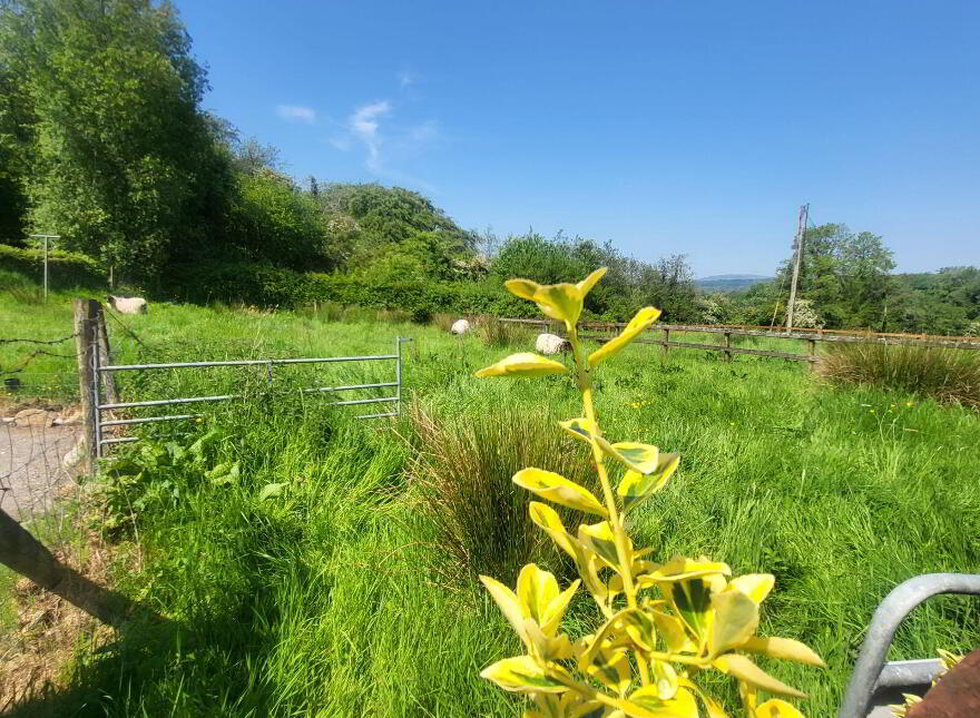 Oughteragh, Ballinamore, N41DX24