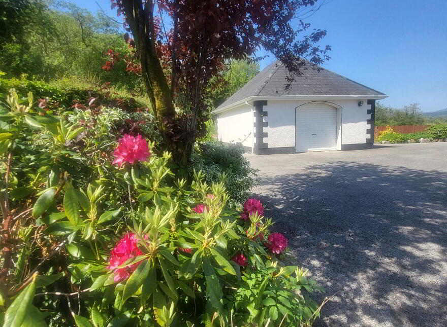 Oughteragh, Ballinamore, N41DX24
