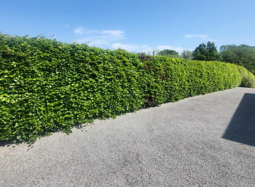 Oughteragh, Ballinamore, N41DX24