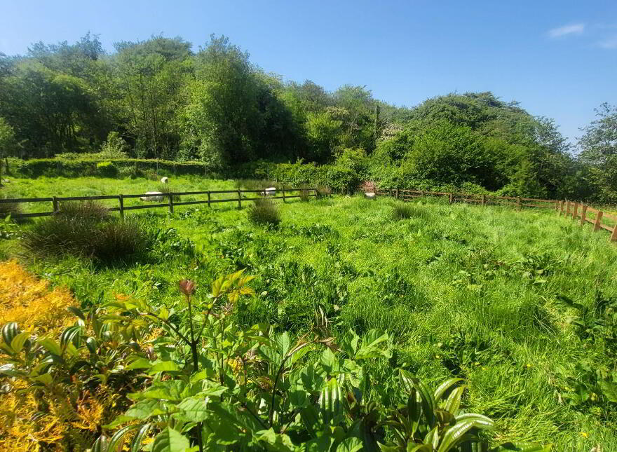 Oughteragh, Ballinamore, N41DX24