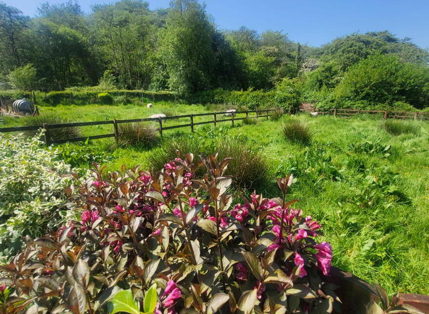 Oughteragh, Ballinamore, N41DX24