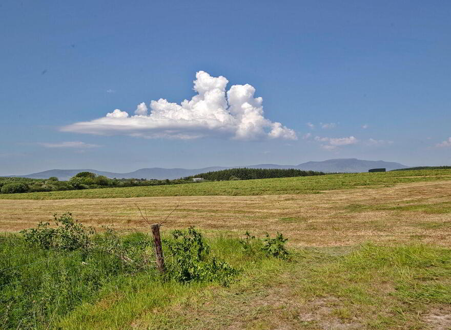Graigue, Stradbally, Ballylaneen, X42DT20